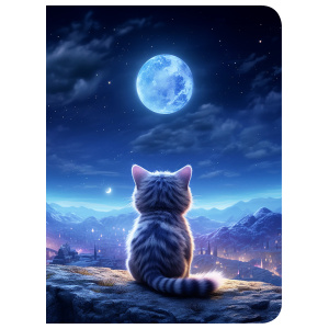 Тетрадь А5 120л кл. на кольцах Полиграф-Принт "Лунный кот" пластик.обл.