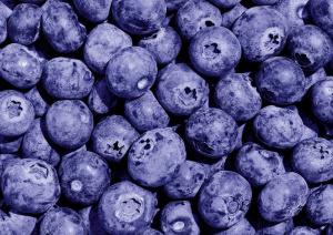 Пазлы  500 элементов  340*480мм.  "Черничное настроение"