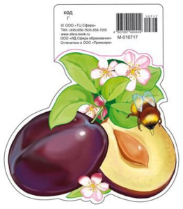 Украшение "Сливы" 190*160мм