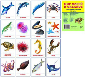 Картинки демонстрационные "Мир морей и океанов" 63*87мм 16 карточек