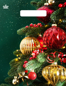 Пакет 25*19см (30мк) с вырубной ручкой "Новогодний" ПВД