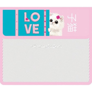 Папка д/тетрад. А5 (230*190*50) 2отд. на липучке, пластик "Fluffy"