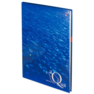 Тетрадь А4 7БЦ  80л кл. сшивка Альт "Вода" глянц.лам.