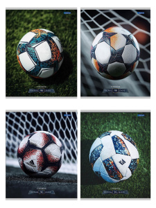 Тетрадь А5  96л кл. Проф-Пресс "Разные футбольные мячи -1" 4 диз.в коробе