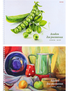 Альбом А4 20л гребень "Изящный натюрморт" пл. 100гр/м