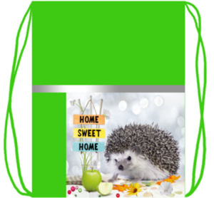 Мешок для обуви 1 отд, 330*420 Ёжик, карман, светоотражающая лента