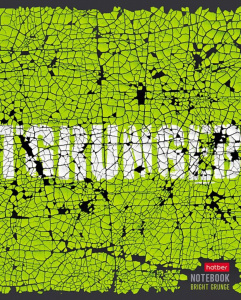 Тетрадь А5  96л кл. Hatber "Яркий гранж" белизна 100%