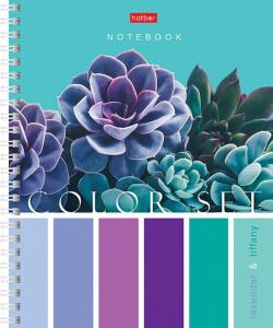 Тетрадь А5  80л кл. гребень Hatber "Color Set" 4 диз.в блоке, белизна 98%