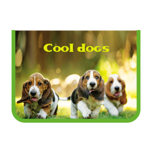 Папка для труда А4 1 отд. молн. вокруг  Классные песики, пластик