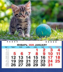 Календарь МАЛЫЙ  200*240мм на 2026г. Котенок с мячиком