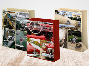 Пакет подар. бумажн. 33*45*14см, 140гр/м Микс мужской