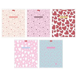 Тетрадь А5 48л кл. Hatber пласт.обл. "LOVE IS...." 5 диз.в блоке