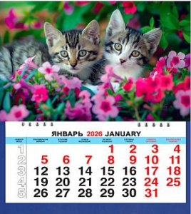 Календарь МАЛЫЙ  200*240мм на 2026г. Два котенка в цветах