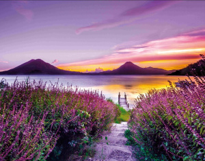 Календарь Трио  295*720мм на 2026г.  Лавандовый причал