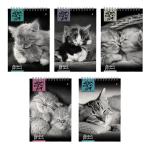 Блокнот А5  40л гребень "Кошки" клетка