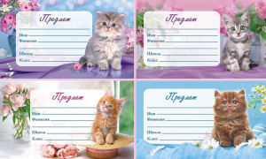 Наклейки на тетрадь "Кошки" 16*9 см