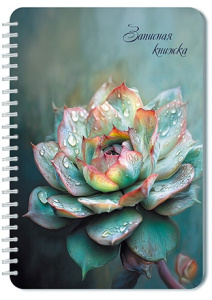 Блокнот А5  40л гребень "Цветок" кл.