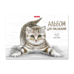 Альбом А4 40л  клеевой кор. "Tabby"