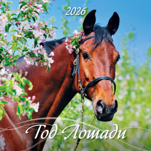 Календарь КВАДРАТ  285*285мм на 2026г.  Год лошади