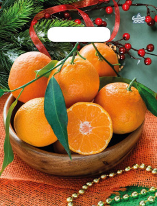 Пакет с вырубной неус. ручкой 23х30 (30мк) Много мандаринов, ПВД