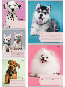 Тетрадь А5 12л косая лин. с доп.горизонт.лин. Проф-Пресс "Милые щенки - 6" 5диз.в сп.