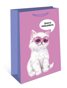 Пакет подар. бумажн. 18*23*10 см, 130гр/м2  Котик