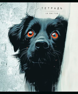 Тетрадь А5 48л кл. ПЗБМ "Кто тут?" мат.лам., выб.УФ-лак, конгрев