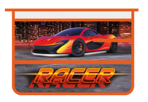 Папка д/труда А4 (325*230*100) 1отд. молния сверху, пластик "Гонщик"