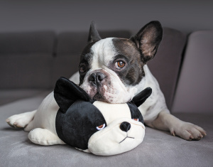 Календарь Трио  295*720мм на 2026г.  Близнецы