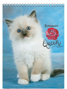 Блокнот А7  40л  "Пушистые котята" гребень