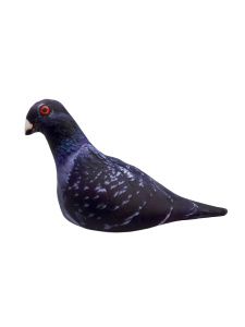 Игрушка антистресс 23см "Птица Голубь городской"