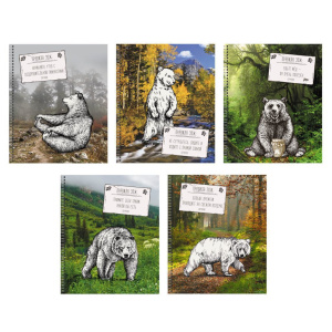 Тетрадь А5  48л кл.  Правила ЗОЖ, гребень, выб.лак