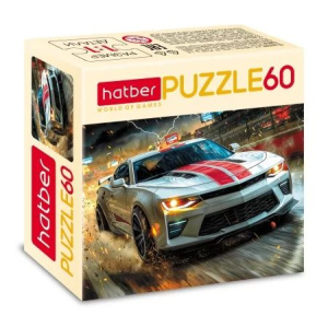 Пазлы   60 элементов  230*165мм.  "На скорости"