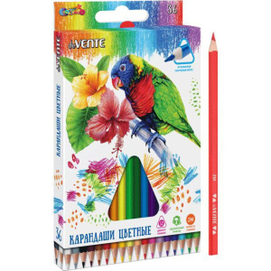 Карандаши цвет. 36цв "Trio"  2М