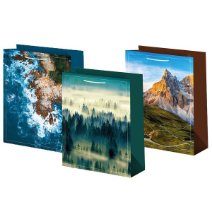 Пакет подар. бумажн. 26*32*10см, 140гр/м Микс мужской