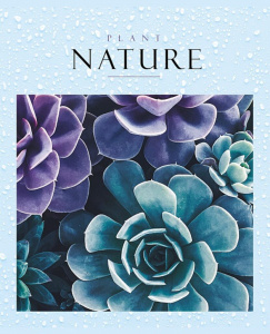 Тетрадь А5 48л кл. Hatber !СУПЕРЭКОНОМ! "Nature" белизна 80%