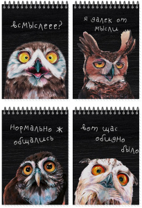 Блокнот А6  60л гребень "Совы" нелин.