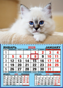 Календарь настенный  310*420мм на 2026г.  ОДНОБЛОЧНЫЙ с курсором и календ.сеткой "Белый котёнок"