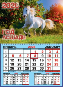 Календарь настенный  310*420мм на 2026г.  ОДНОБЛОЧНЫЙ с курсором и календ.сеткой "Лошадь в яблоках"