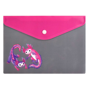 Конверт на кнопке  с рисунком А5 Парочка асколотлей, 24*17см