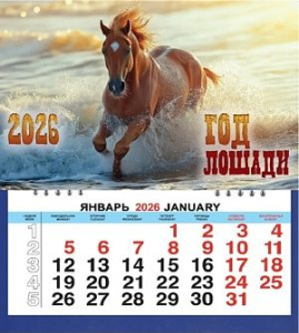 Календарь МАЛЫЙ  200*240мм на 2026г. СГ_Лошадь в воде