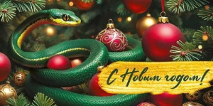 Конверт для денег "С Новым годом! Символ года"