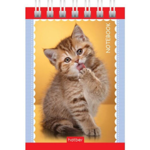 Блокнот А7  40л  "Кошки" гребень, тонир.блок, без линовки