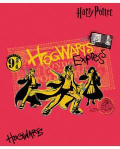 Тетрадь А5 48л кл. Hatber "Гарри Поттер" 5диз.в блоке, белизна 98%