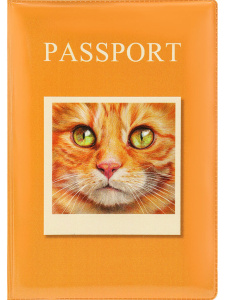 Обложка для паспорта "Рыжий котик" ПВХ