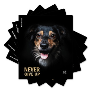 Тетрадь А5  96л кл. Erich Krause "Собаки" матовая ламинация MIX-PACK