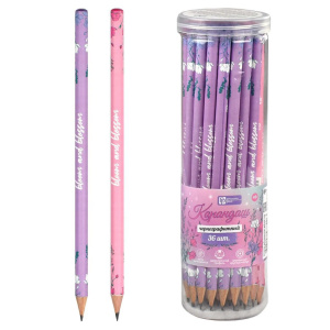 Карандаш ч/гр "Пастель" НВ