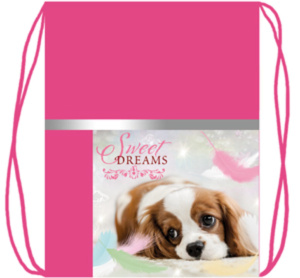 Мешок для обуви 2 отд, карман на молнии 330*420 Мечтатель, светоотраж.лента