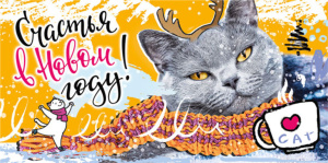 Конверт для денег "С Новым годом!"