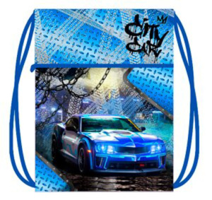 Мешок для обуви 1 отд, карман на молнии, сеточка 410*490 City car